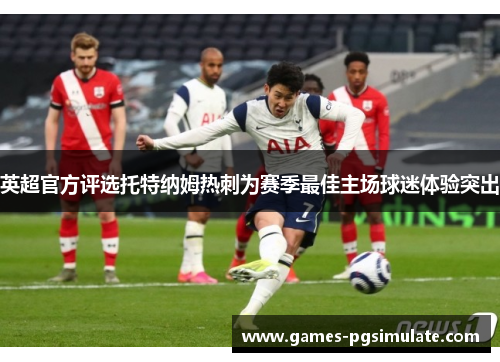 英超官方评选托特纳姆热刺为赛季最佳主场球迷体验突出